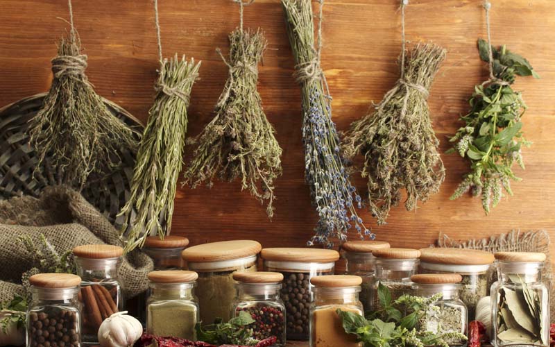 Aromatiques & Médicinales