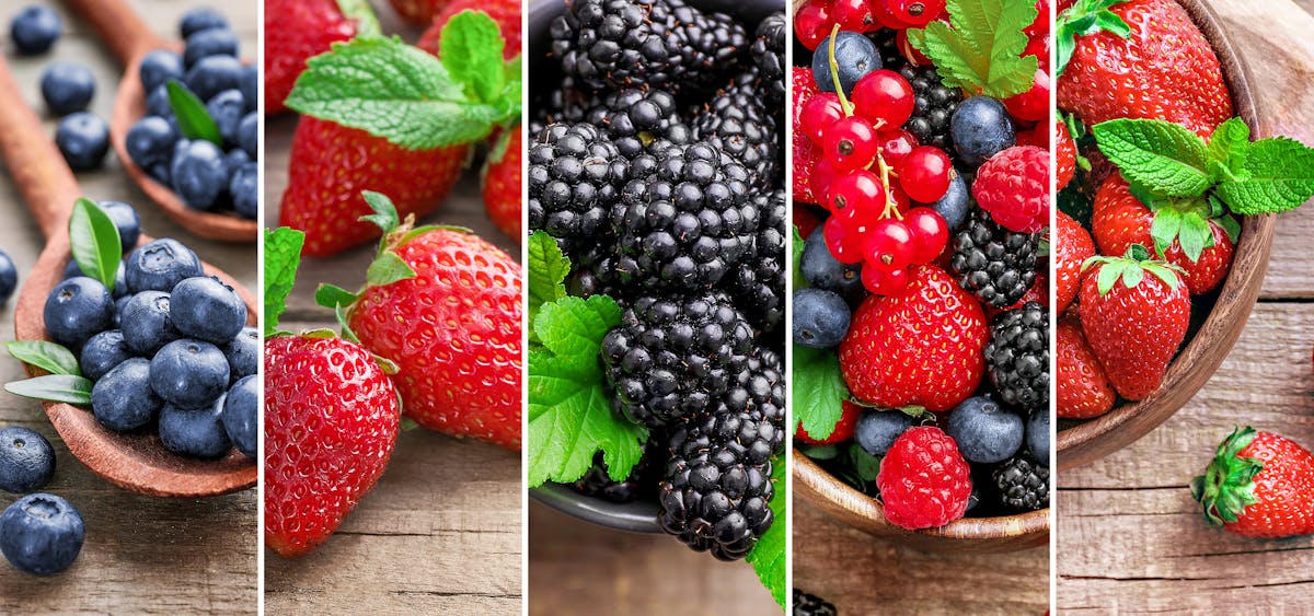 Petits fruits rouges